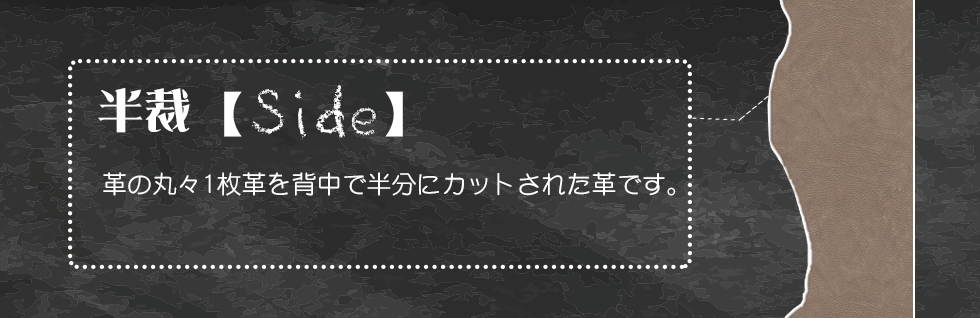 革の基礎知識